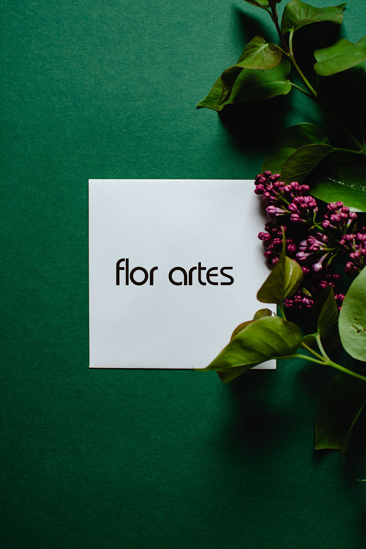 Flor artes Nieuwsbrief